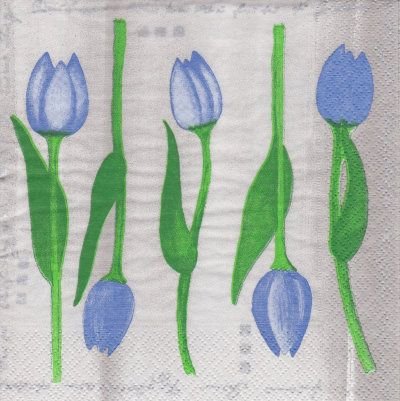 Blaue  Tulpen (E)